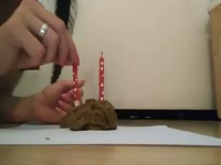 Shit Cake